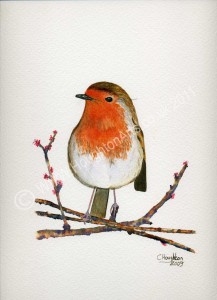 Robin - SOLD, PROCEEDS TO CRUK