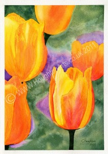 Tulips