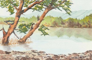 Coniston (2)