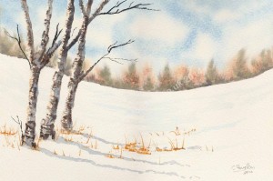 Trees in winter