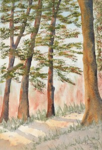 Woodland path