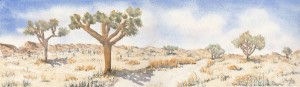 Joshua Tree National Park
