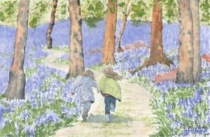 Bluebell woods