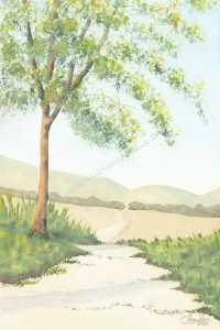 Footpath to the hills