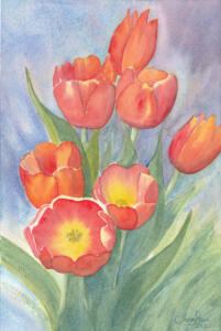 Tulips