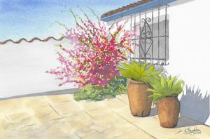 Spanish-Courtyard