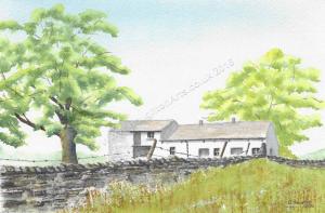 Bowlees-near-High-Force