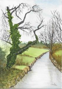 River-Cocker-Low-Lorton