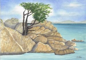 Rocky-outcrop
